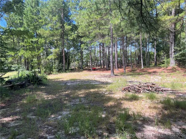 a view of outdoor space with trees all around
