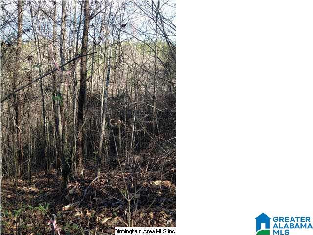 0 Henderson Lake Road, Unit 128 Munford, AL 36268 - Photo 9 of 31