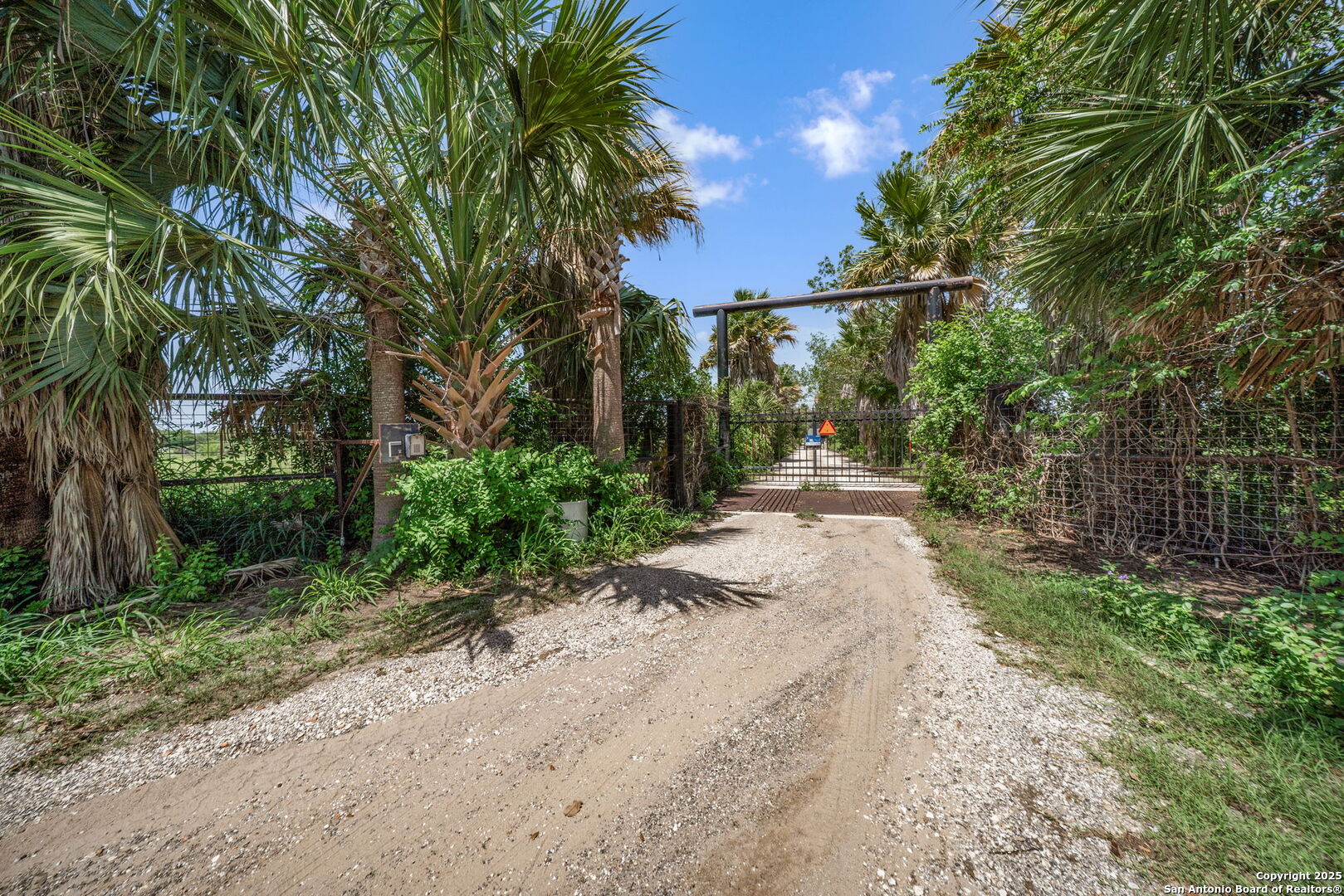 1551 North Windy Knoll Drive Devine, TX 78016 - Photo 42 of 42 a view of path and green space