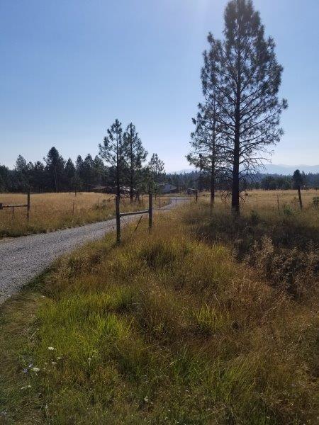 245 Prottsman Way Cave Junction, OR 97523 - Photo 32 of 32 Additional Photo
