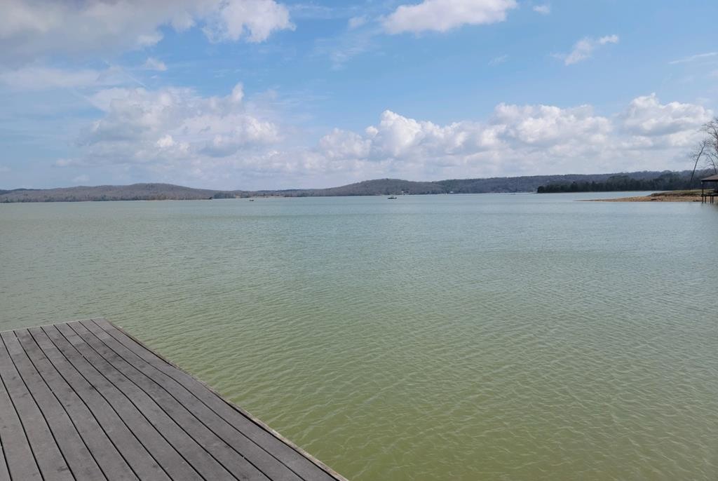 0 Waterfront Way Spring City, TN 37381 - Photo 28 of 31 Gallery Image 28