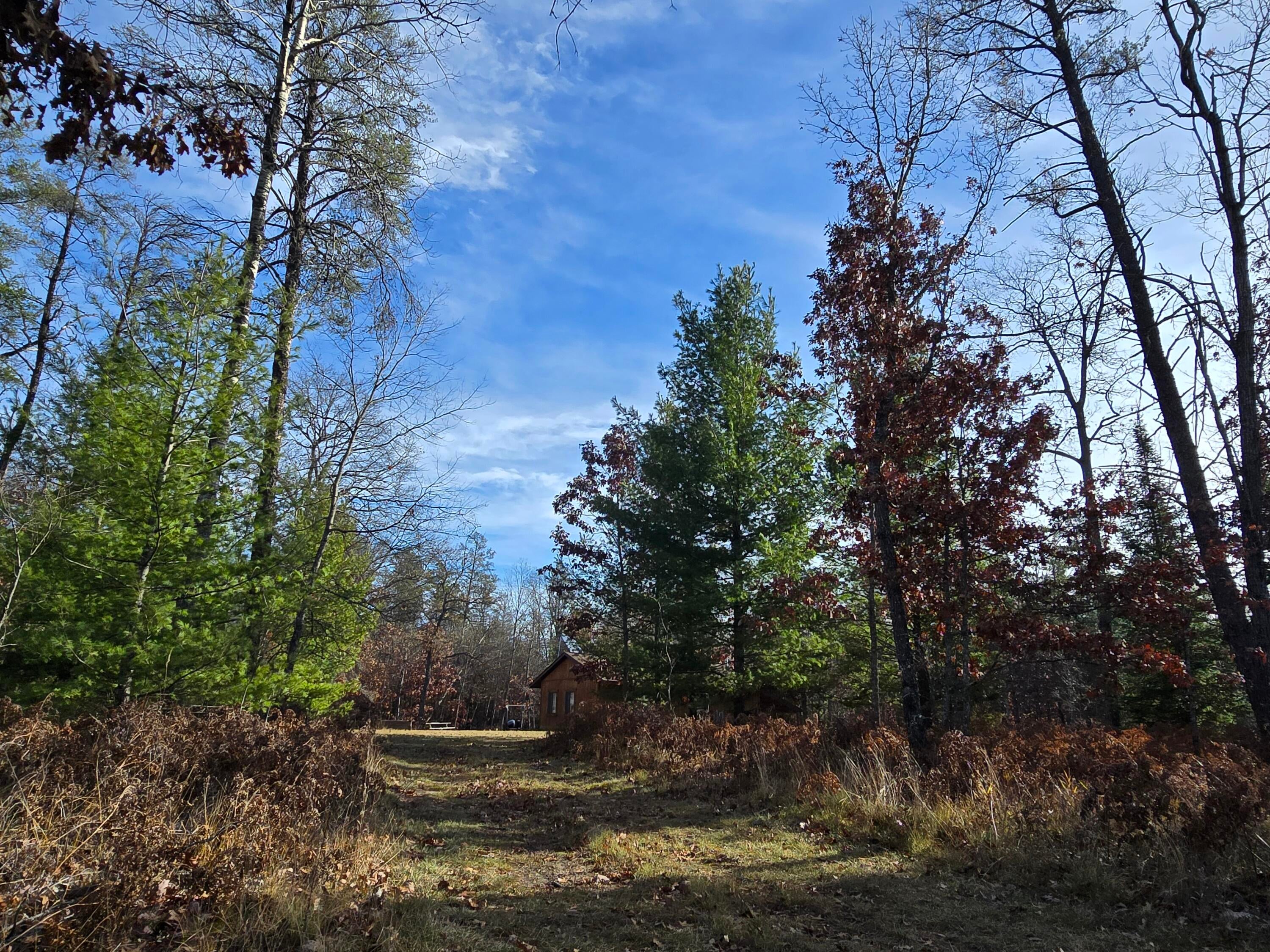1500 Hardy Grade Road Curran, MI 48728 - Photo 81 of 81 Gallery Image 81