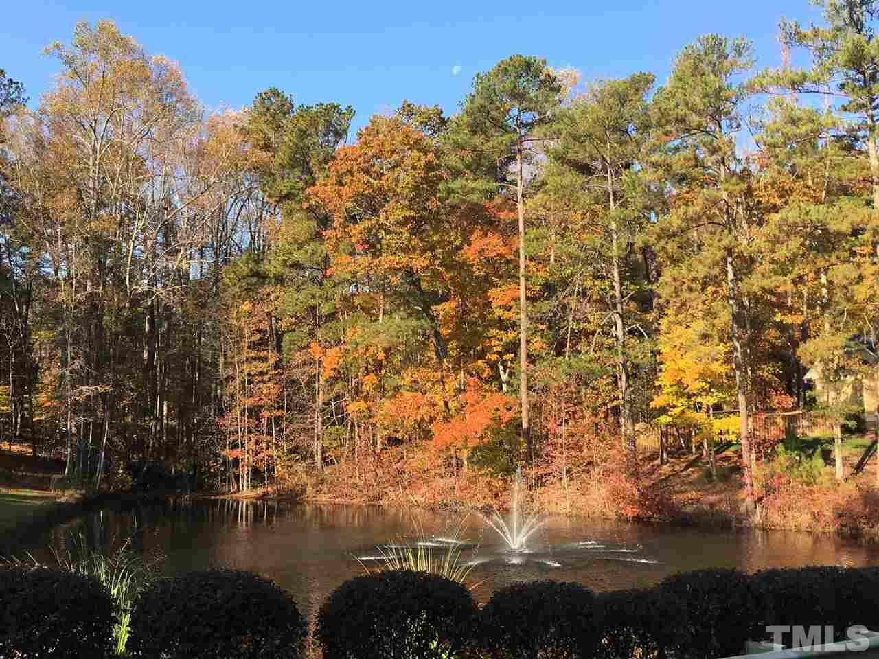 6908 Ray Family Farm Court, Unit 8 Raleigh, NC 27613 - Photo 3 of 3 a view of lake