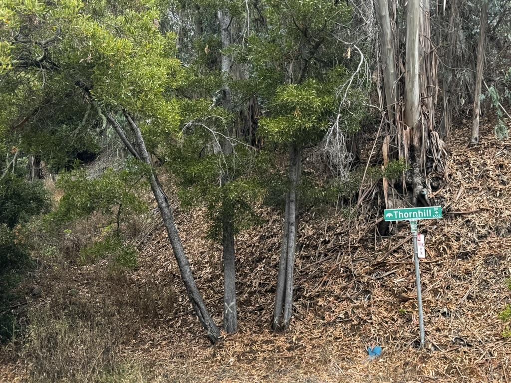 6595 Thornhill Drive Oakland, CA 94611 - Photo 2 of 6