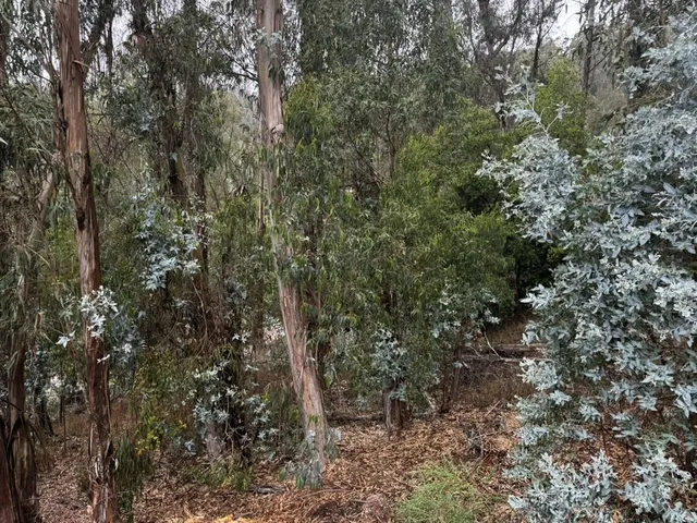 $70,000 | 6595 Thornhill Drive, Oakland, CA 94611