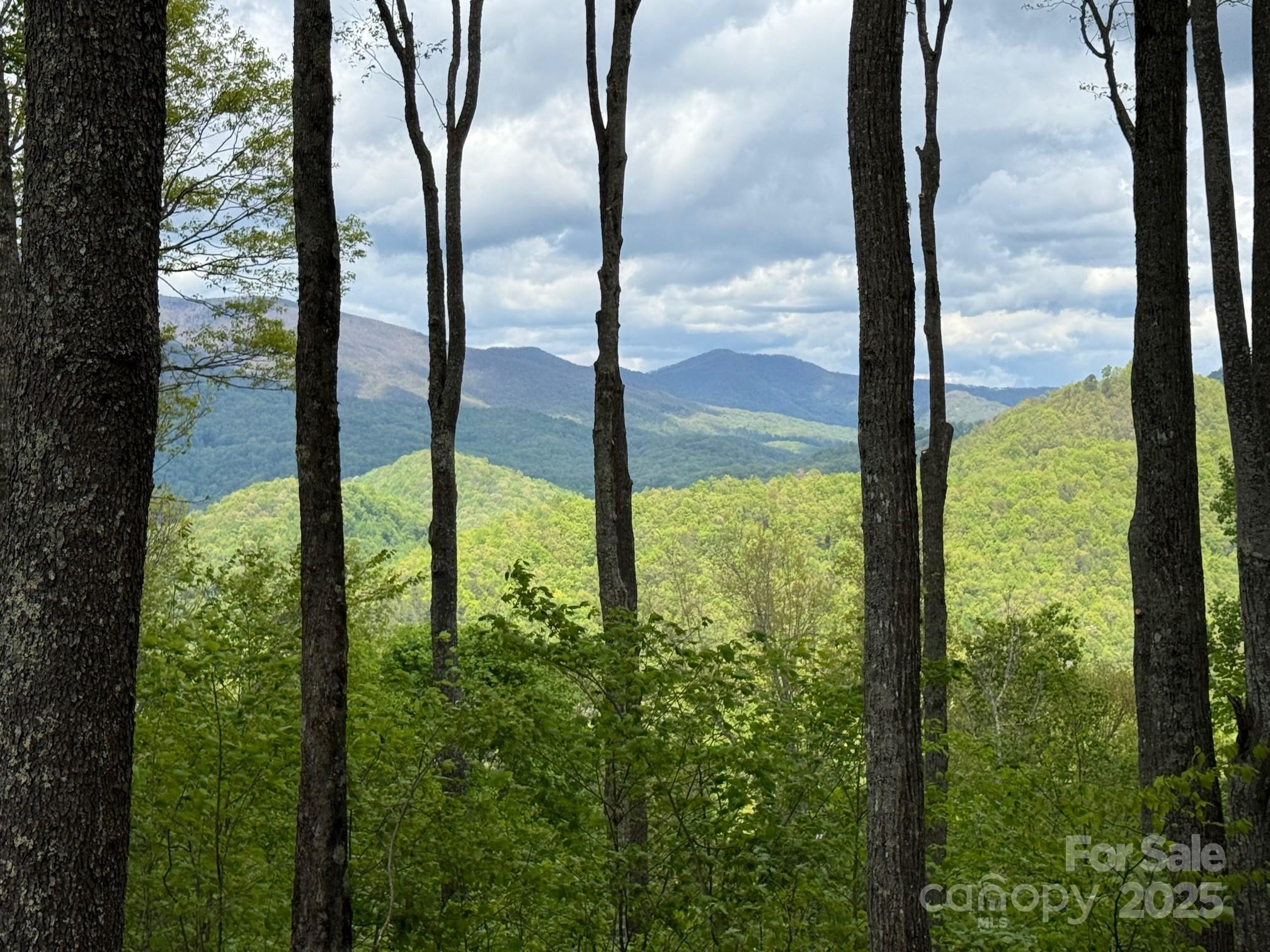 1817 East Reach Road, Unit 216 Sylva, NC 28779 - Photo 1 of 19 a view of water from a window