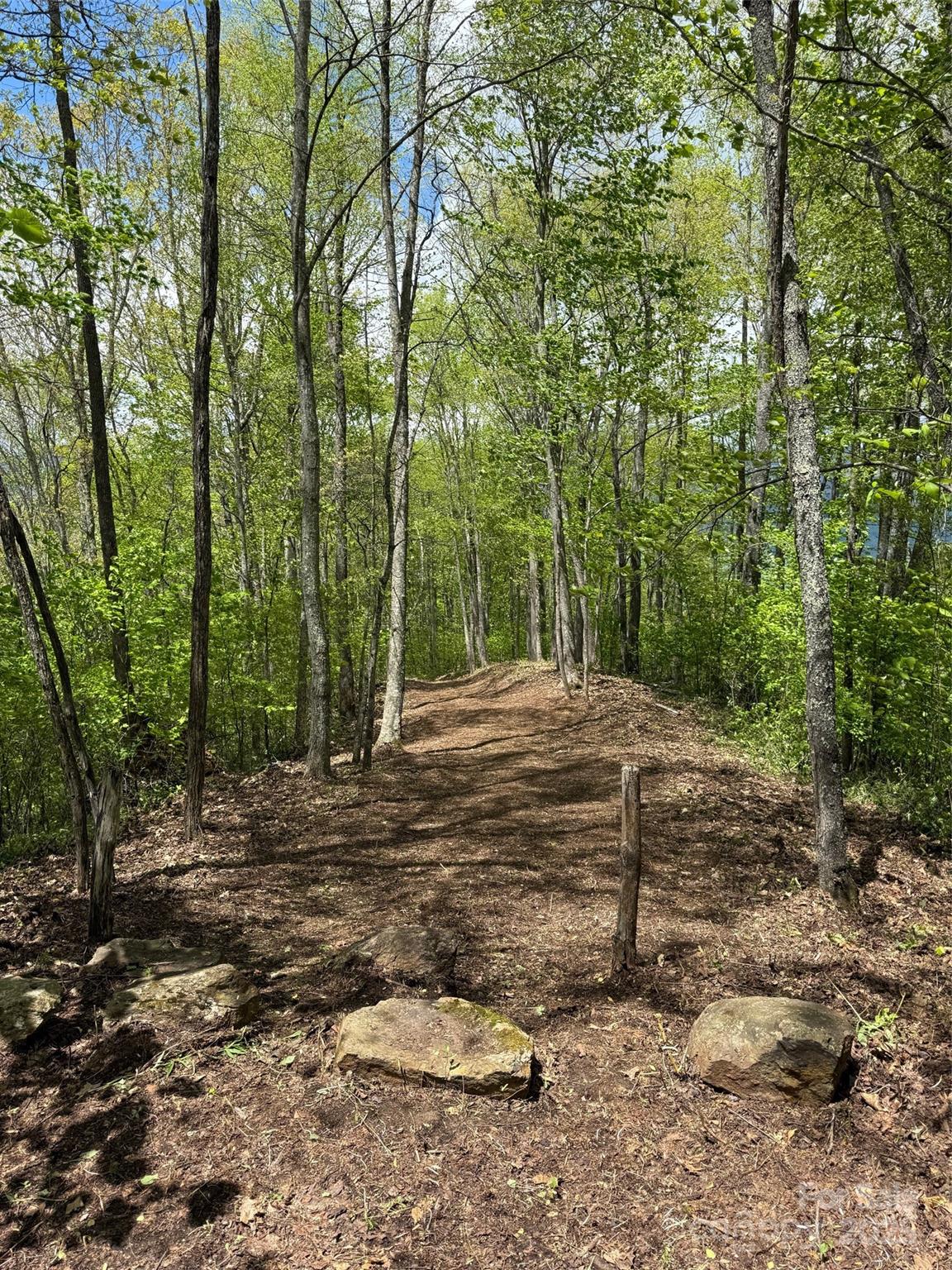 1817 East Reach Road, Unit 216 Sylva, NC 28779 - Photo 2 of 19 a view of a yard with plants and trees