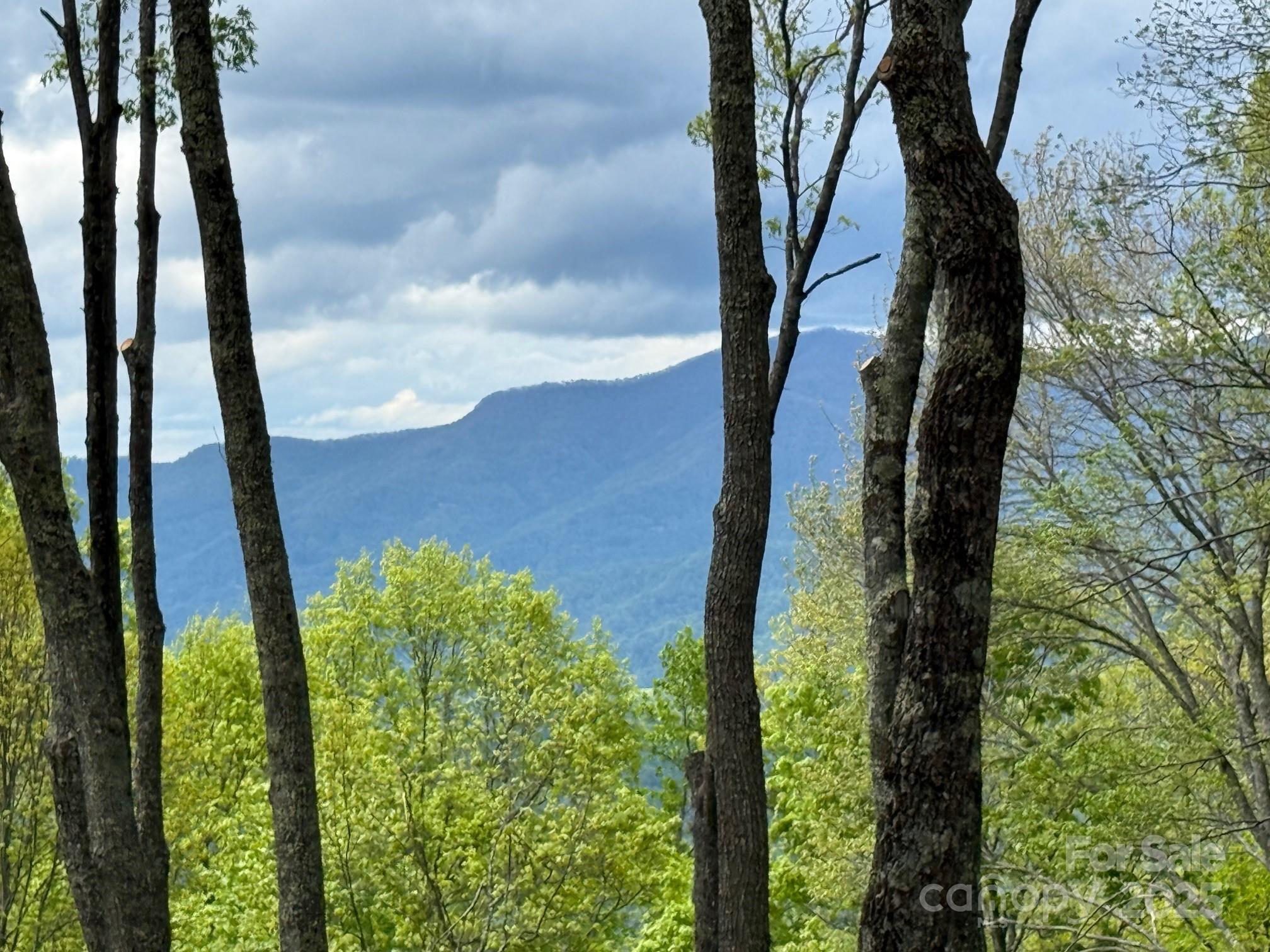1817 East Reach Road, Unit 216 Sylva, NC 28779 - Photo 3 of 19