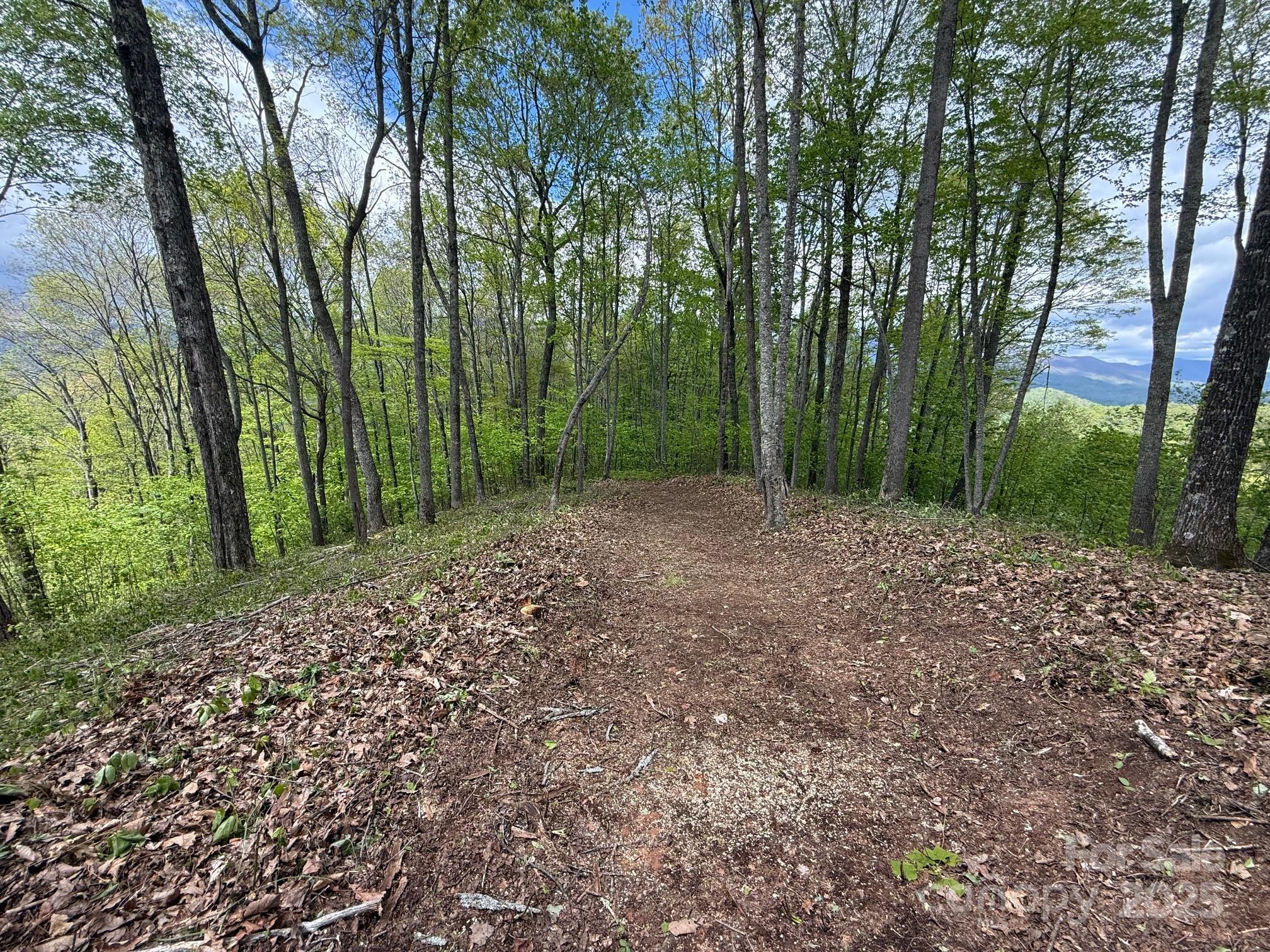 1817 East Reach Road, Unit 216 Sylva, NC 28779 - Photo 4 of 19 a view of backyard with green space