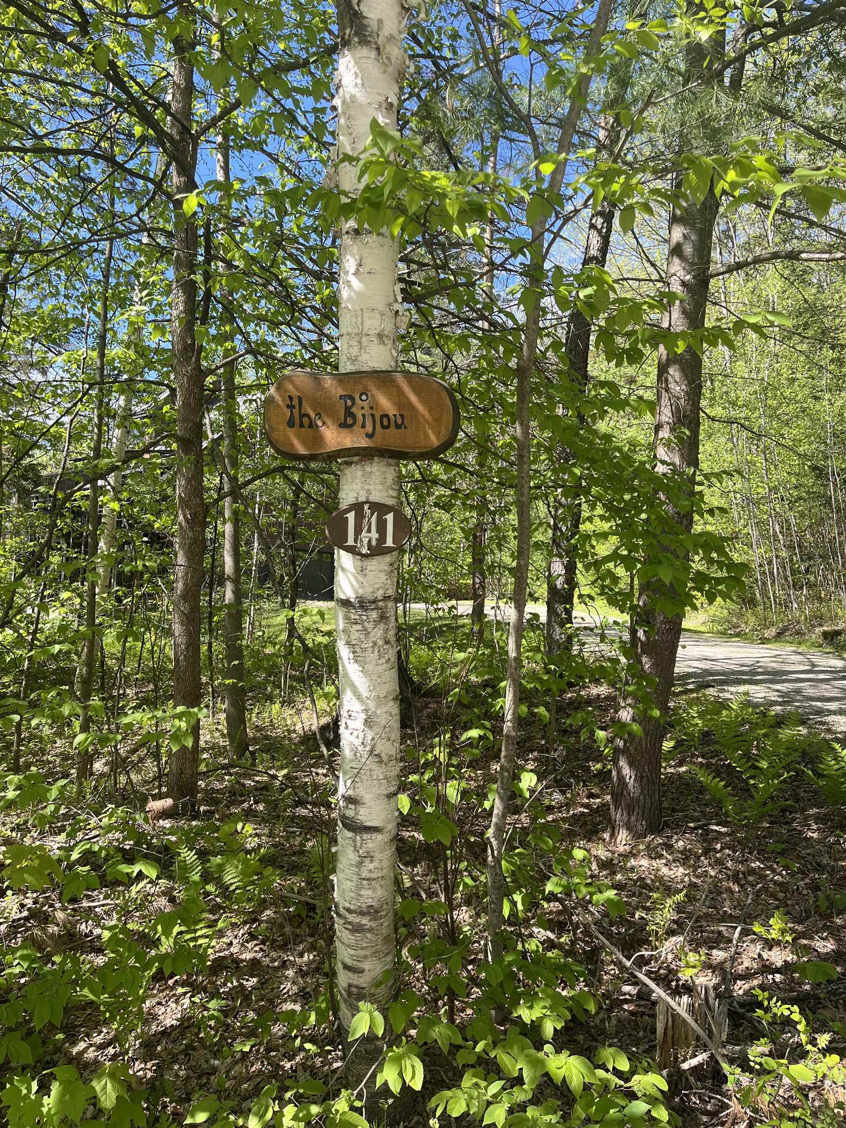 141 Great Hawk Road Rochester, VT 05767 - Photo 40 of 41