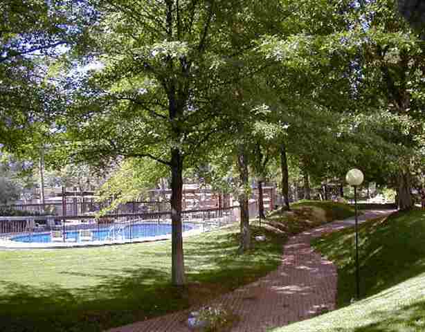1250 Riverside Drive Reno, NV 89503 - Photo 2 of 3 a view of a swimming pool with a patio