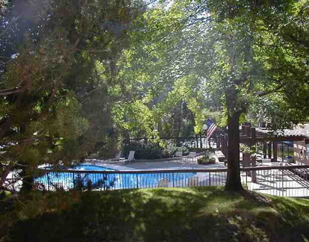 1250 Riverside Drive Reno, NV 89503 - Photo 3 of 3 a view of swimming pool yard