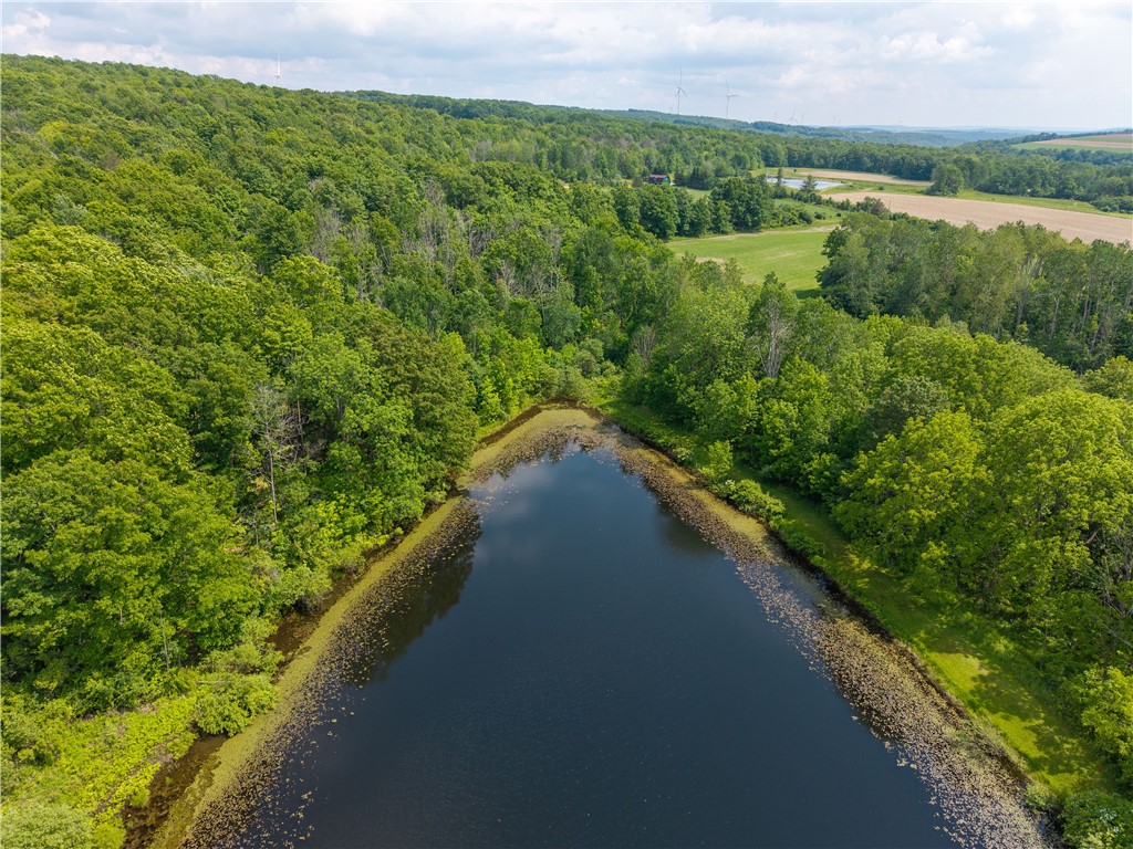 2000 County Rte 50 Dansville, NY 14807 - Photo 36 of 43