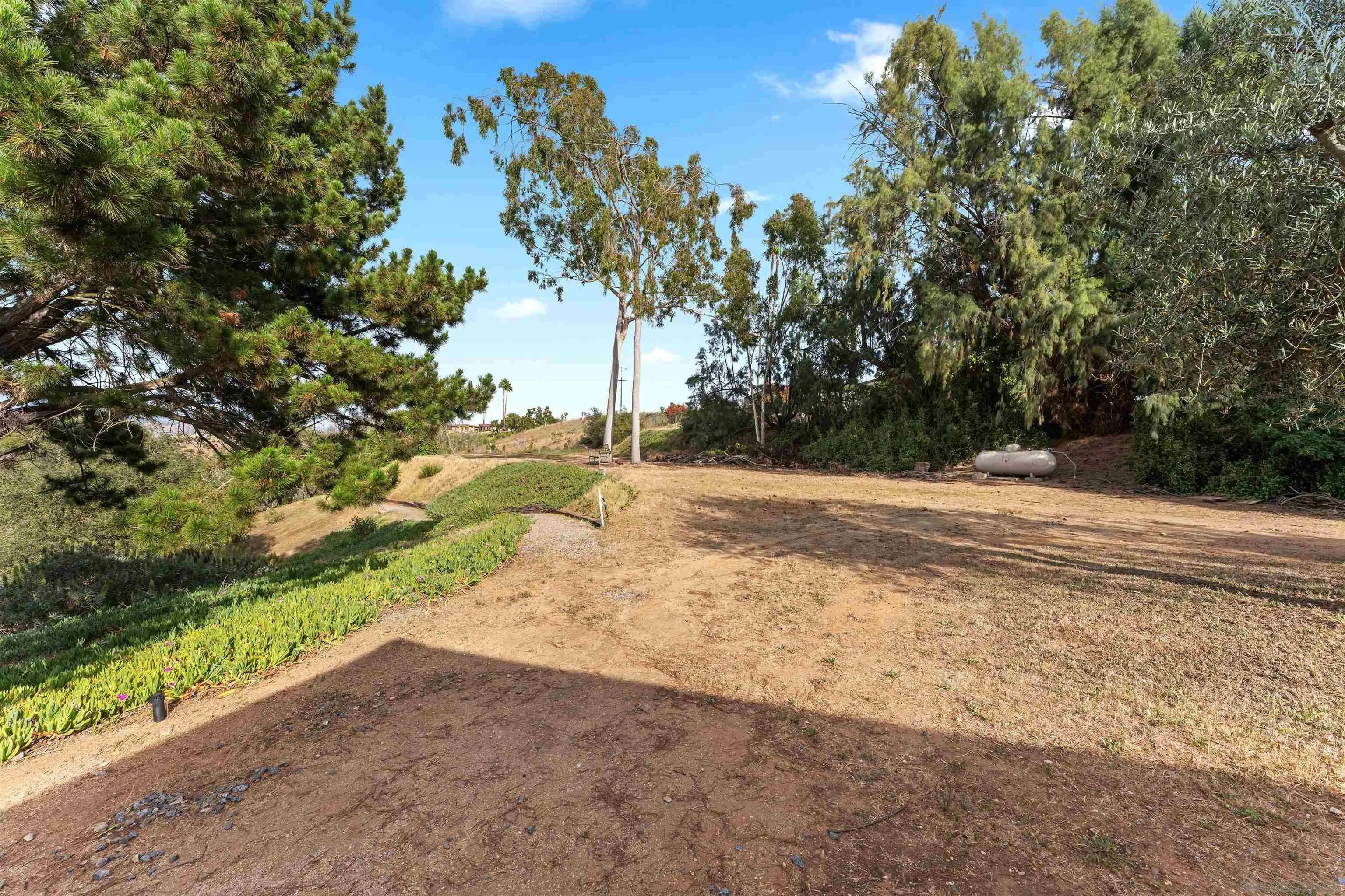 30659 Diaz Road Valley Center, CA 92082 - Photo 38 of 44 a view of dirt yard with a large tree