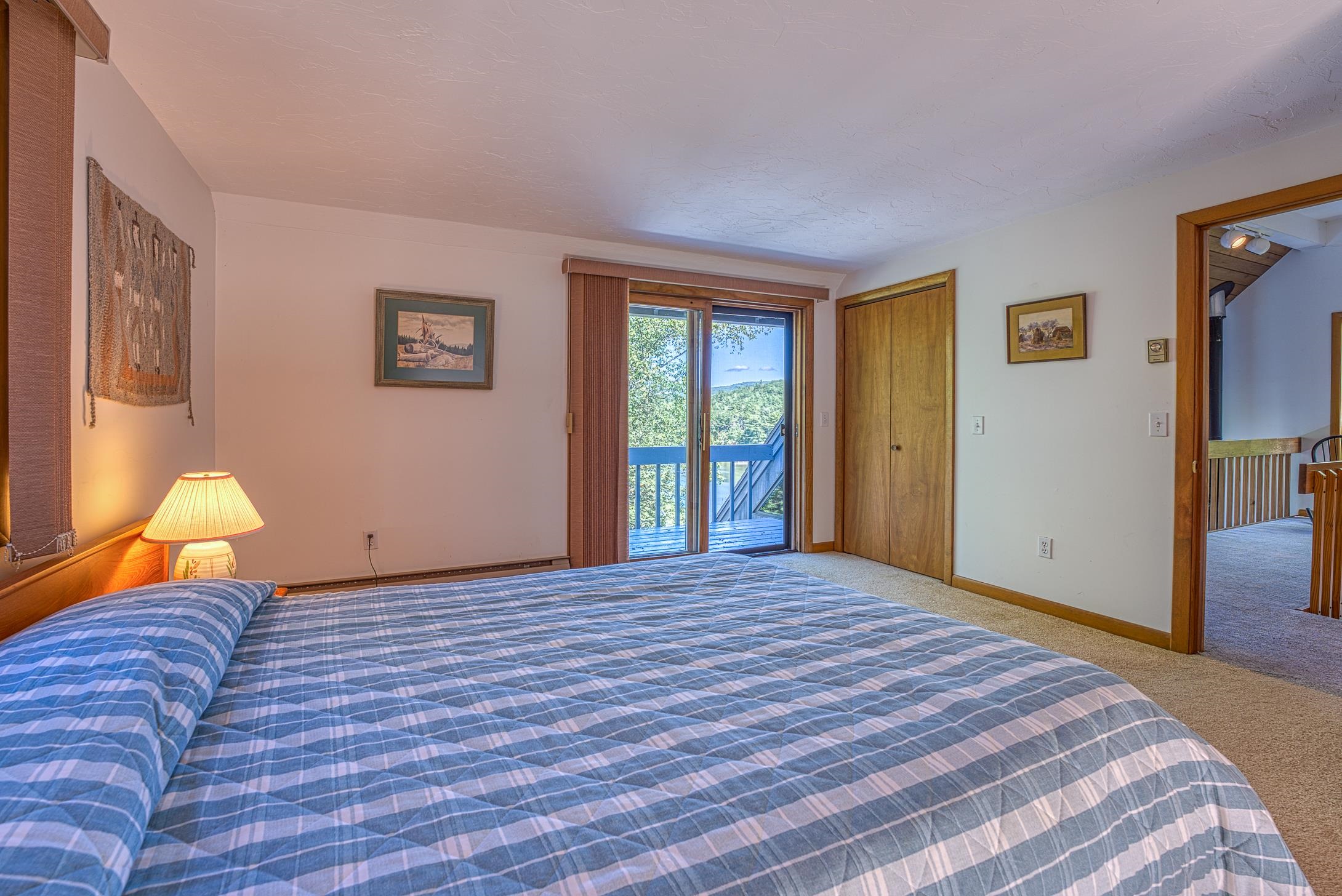 43 Pikes Point Road Bristol, NH 03222 - Photo 19 of 31