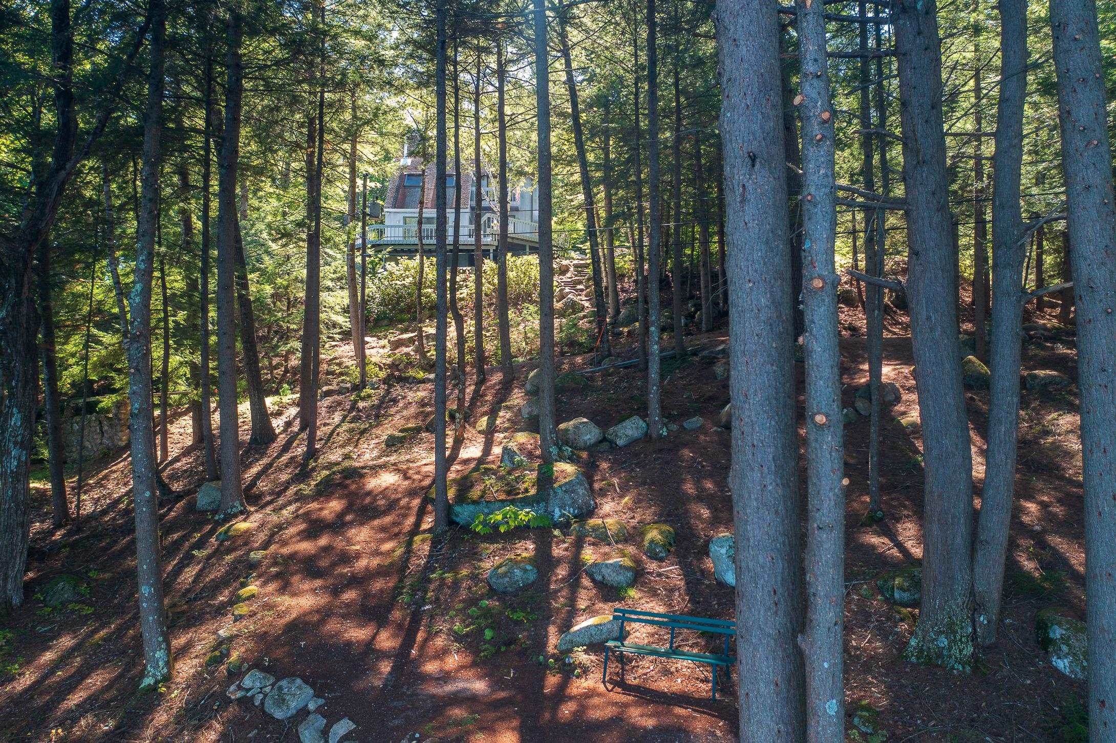 43 Pikes Point Road Bristol, NH 03222 - Photo 29 of 31