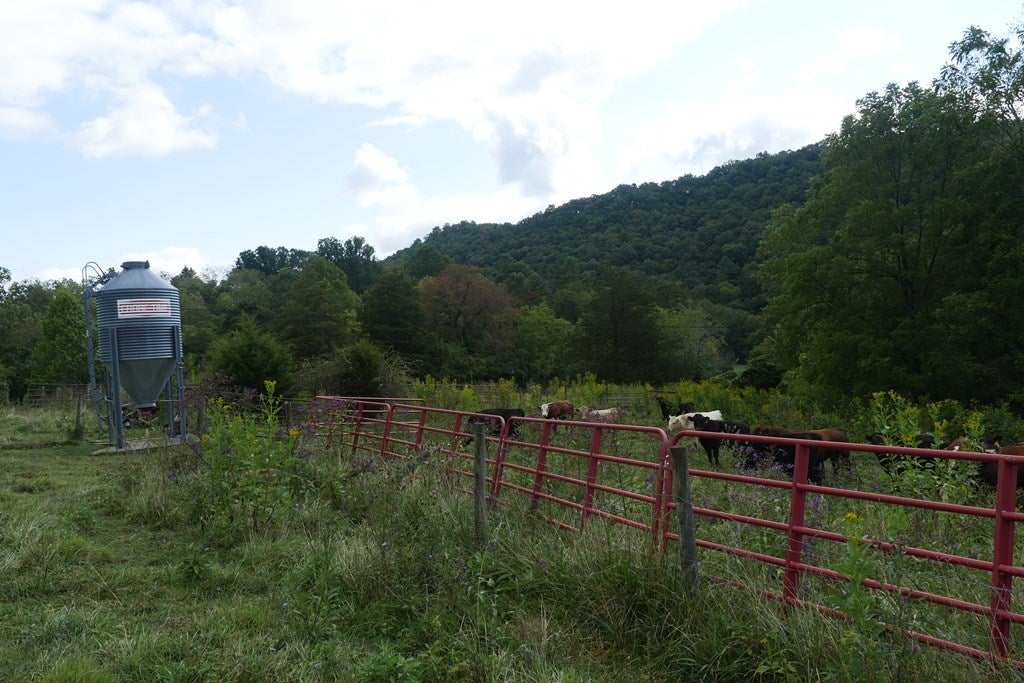 Tbd South Fork River Road, Unit 1 Glade Spring, VA 24340 - Photo 41 of 57 Gallery Image 41