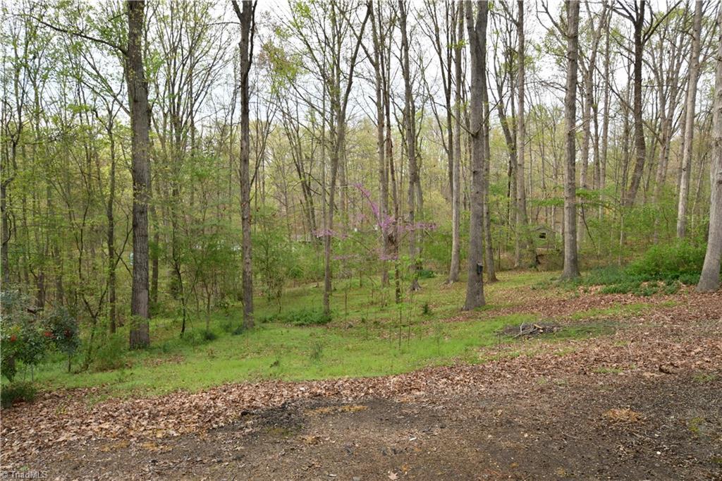 4920 Country Ridge Road Clemmons, NC 27012 - Photo 25 of 30