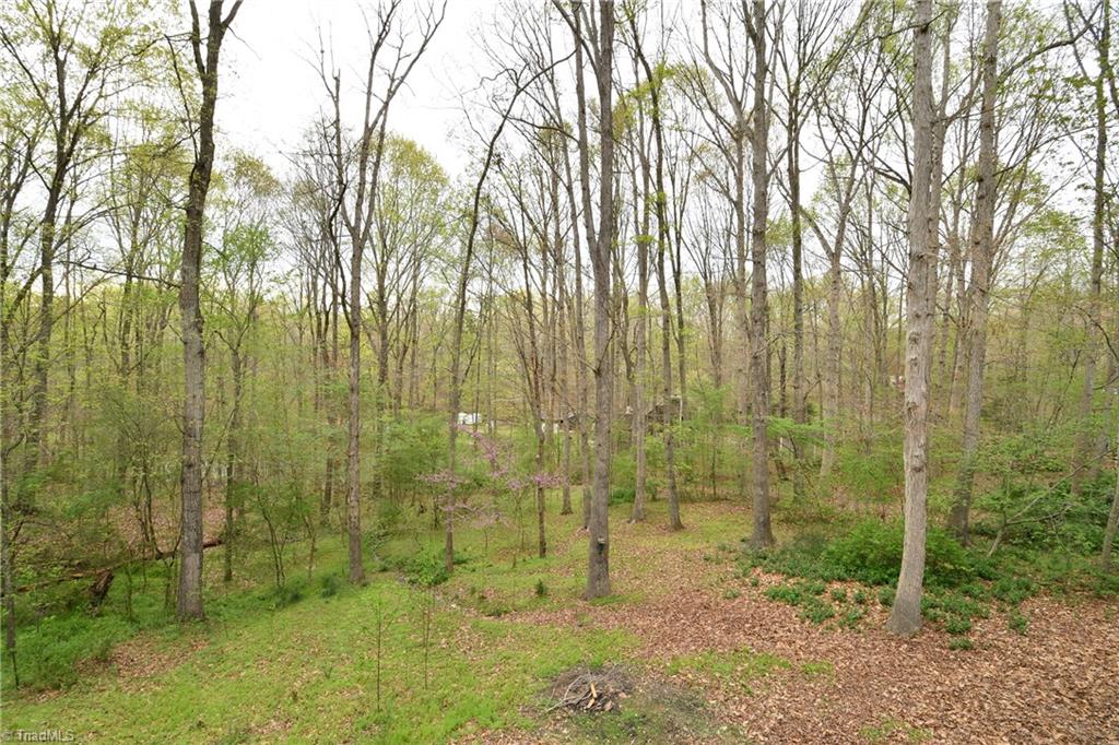 4920 Country Ridge Road Clemmons, NC 27012 - Photo 27 of 30