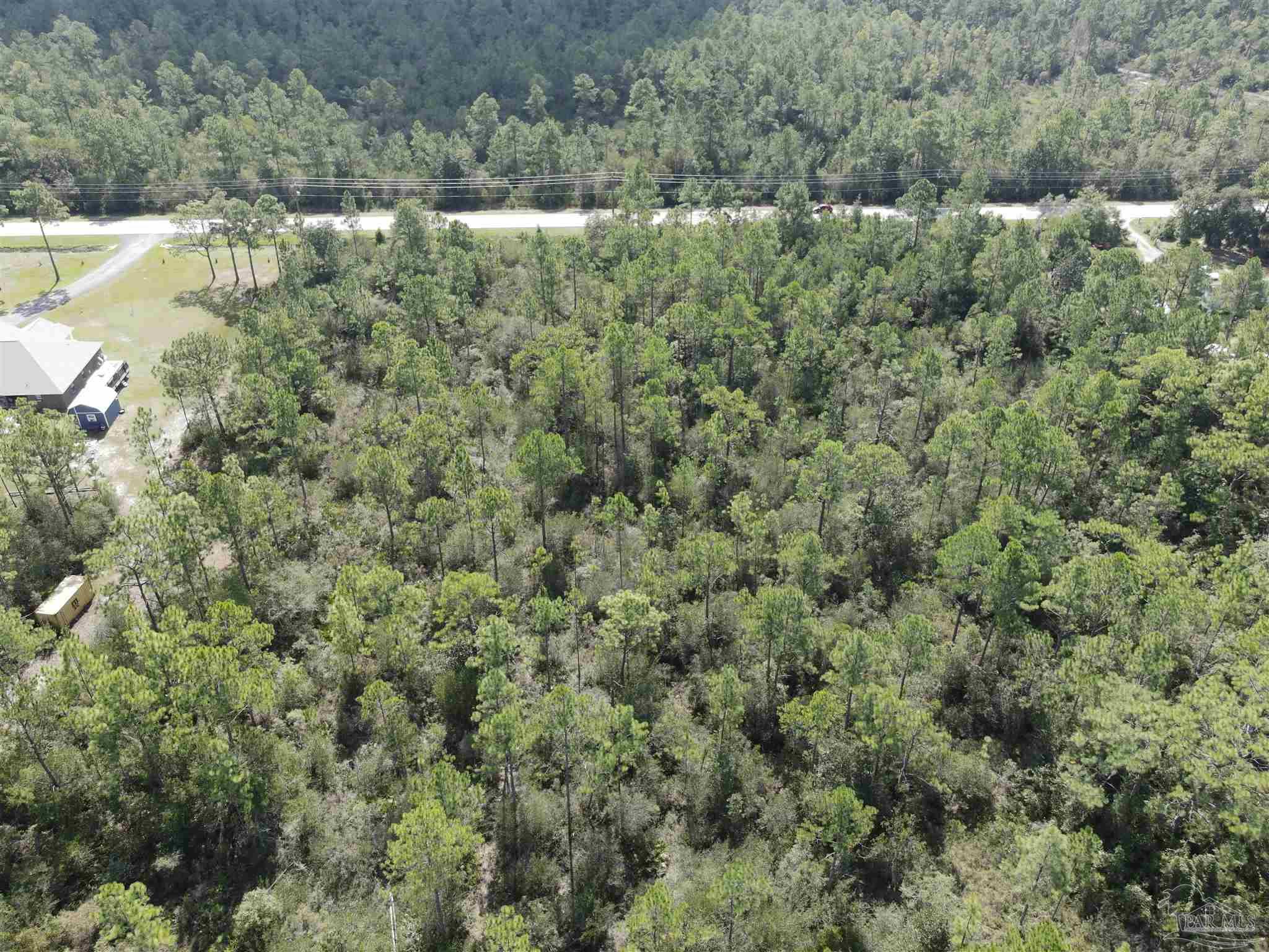 Parcel C Hickory Hammock Road Milton, FL 32583 - Photo 1 of 5 Gallery Image 1