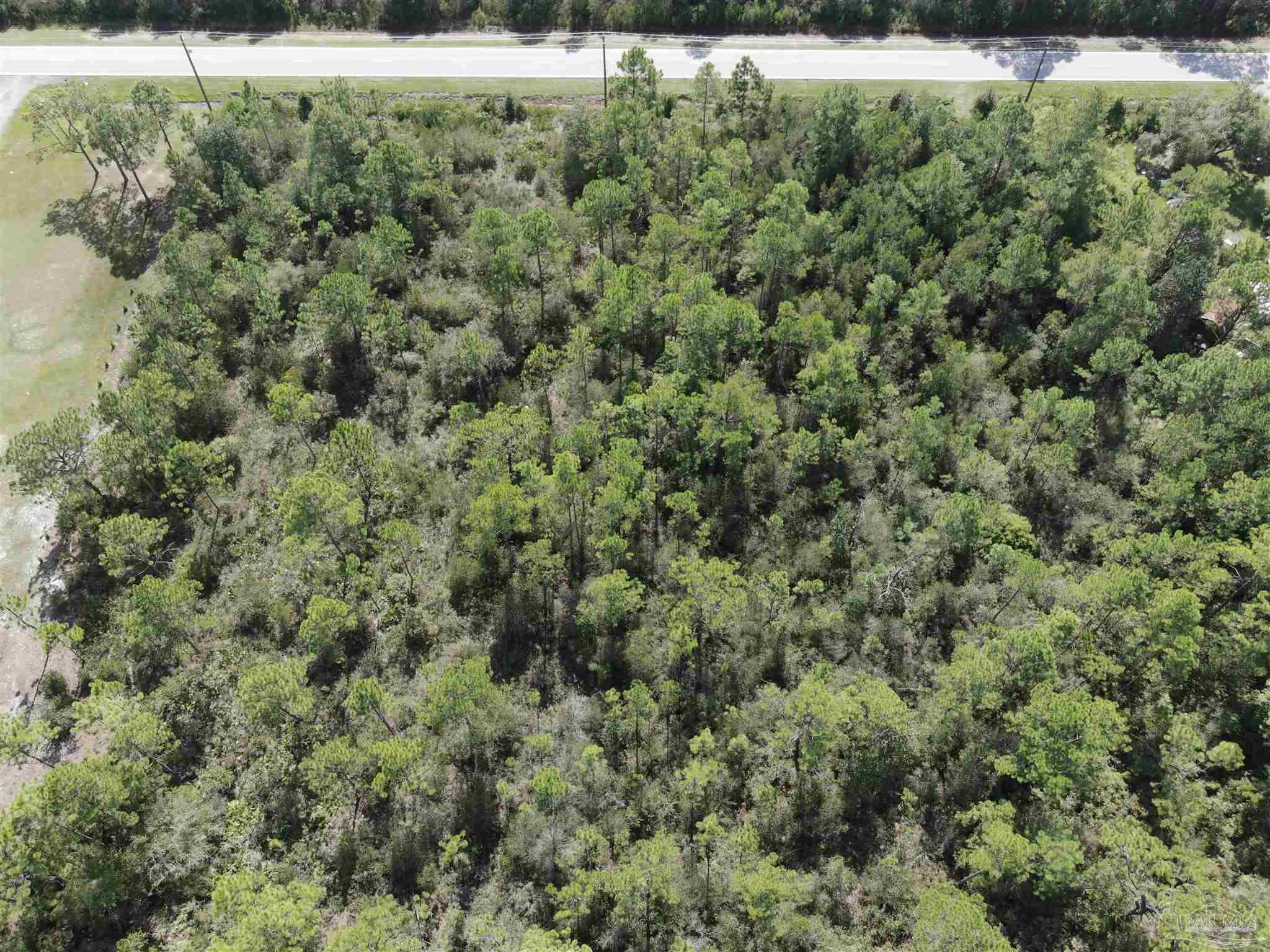 Parcel C Hickory Hammock Road Milton, FL 32583 - Photo 3 of 5 Gallery Image 3