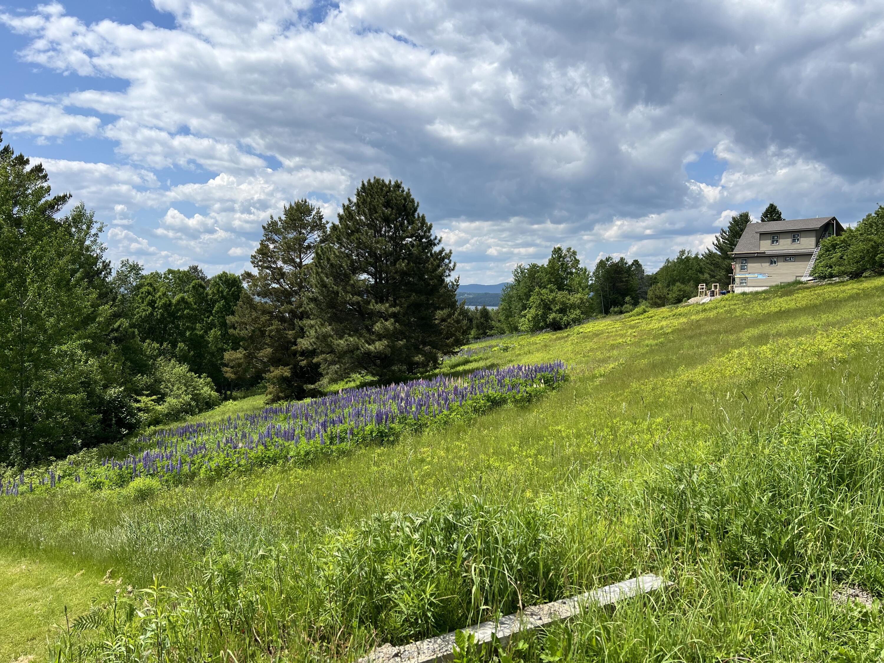 49 Winston Road Rangeley, ME 04970 - Photo 2 of 36 IMG_7310