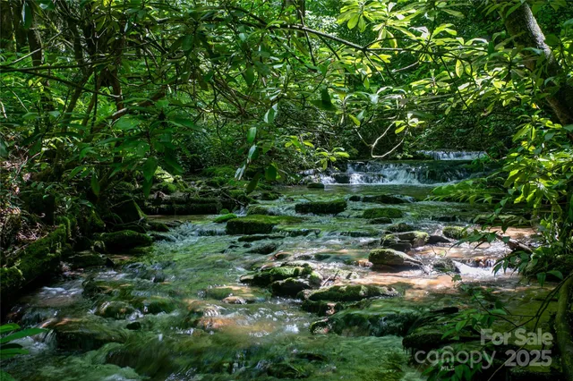 a view of a green field with lots of bushes