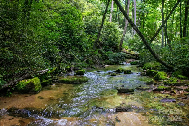 a backyard of a house with a yard and lake view
