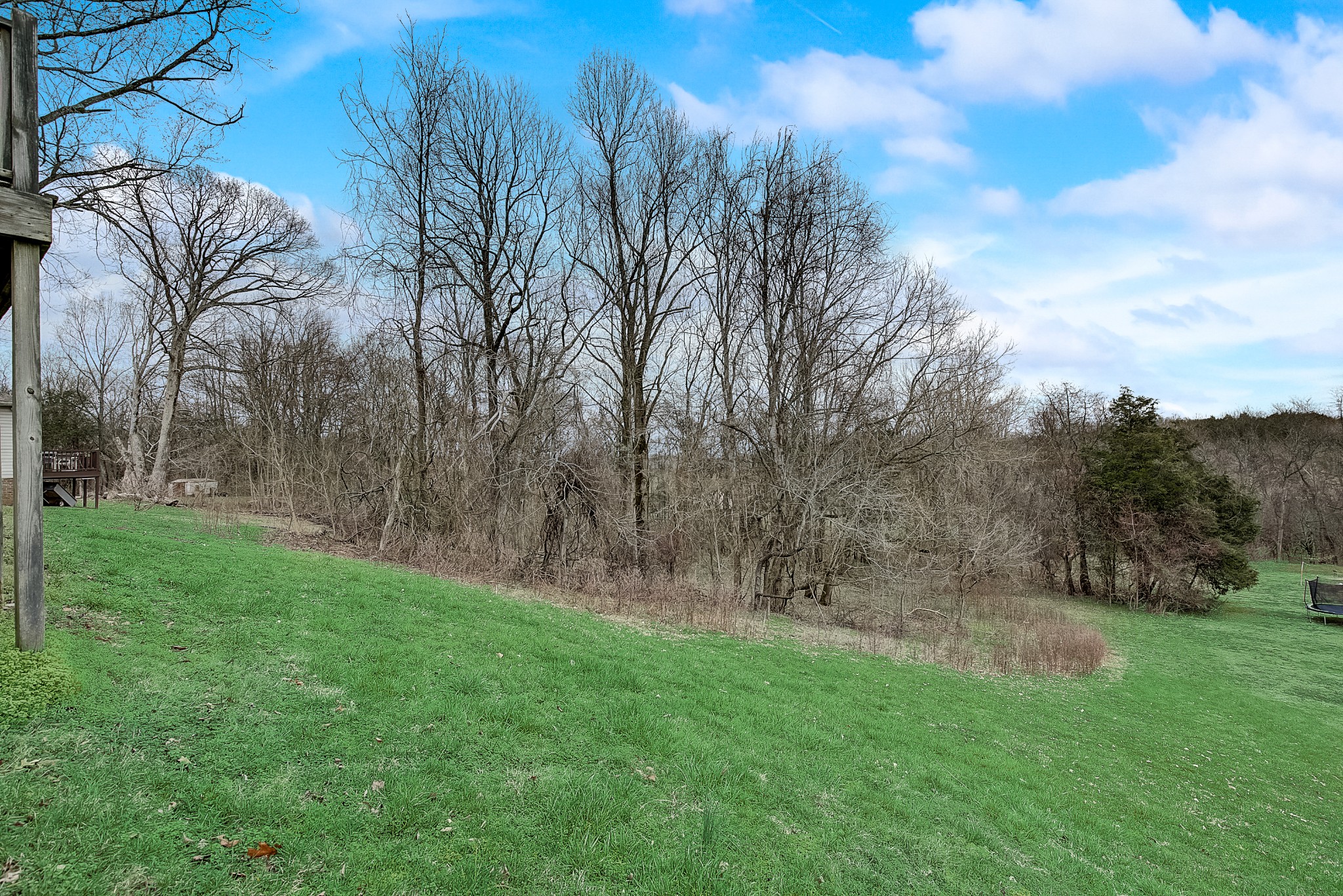 2404 Spring Ln Spring Hill Spring Hill, TN 37174 - Photo 25 of 26 a view of a backyard with large trees
