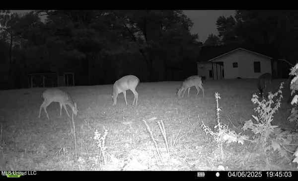 $56,500 | 3489 White Apple Road, Roxie, MS 39661