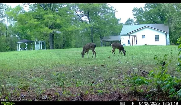 $56,500 | 3489 White Apple Road, Roxie, MS 39661