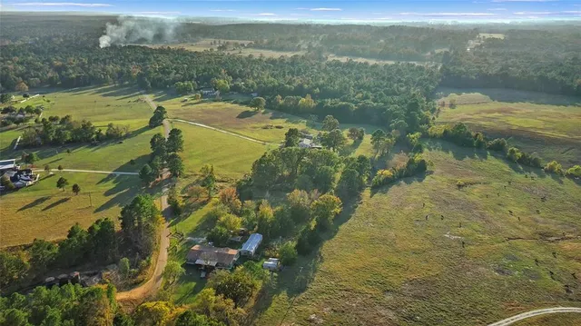 a view of a lake in middle of forest