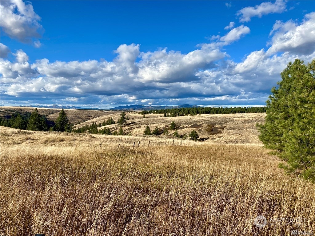 35000 McDowell Canyon Road Creston, WA 99117 - Photo 11 of 23 a view of an ocean
