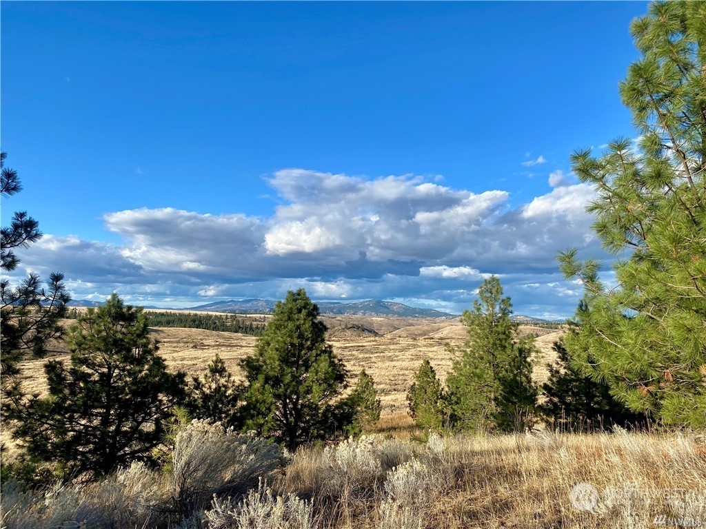 35000 McDowell Canyon Road Creston, WA 99117 - Photo 12 of 23 a view of a yard with wooden fence