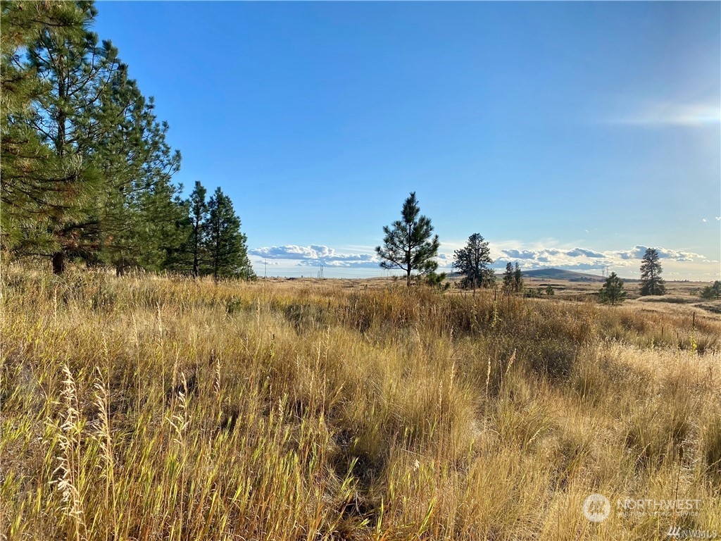 35000 McDowell Canyon Road Creston, WA 99117 - Photo 13 of 23 a view of lake