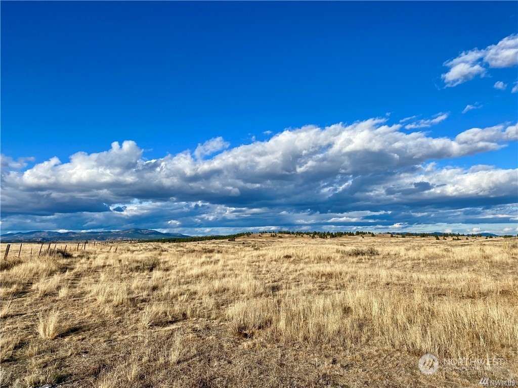 35000 McDowell Canyon Road Creston, WA 99117 - Photo 14 of 23 a view of an ocean