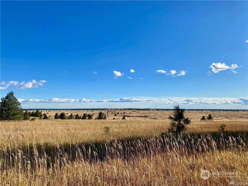 35000 McDowell Canyon Road Creston, WA 99117 - Photo 15 of 23 a view of a swimming pool and an outdoor space