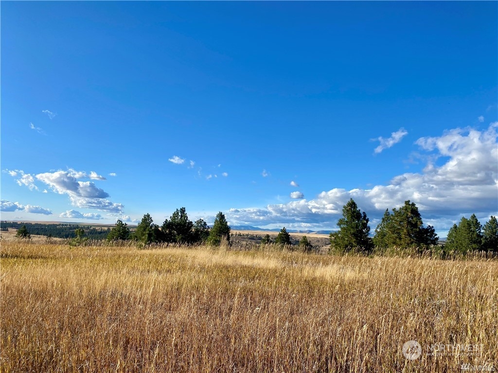 35000 McDowell Canyon Road Creston, WA 99117 - Photo 16 of 23 a view of a lake with a lake