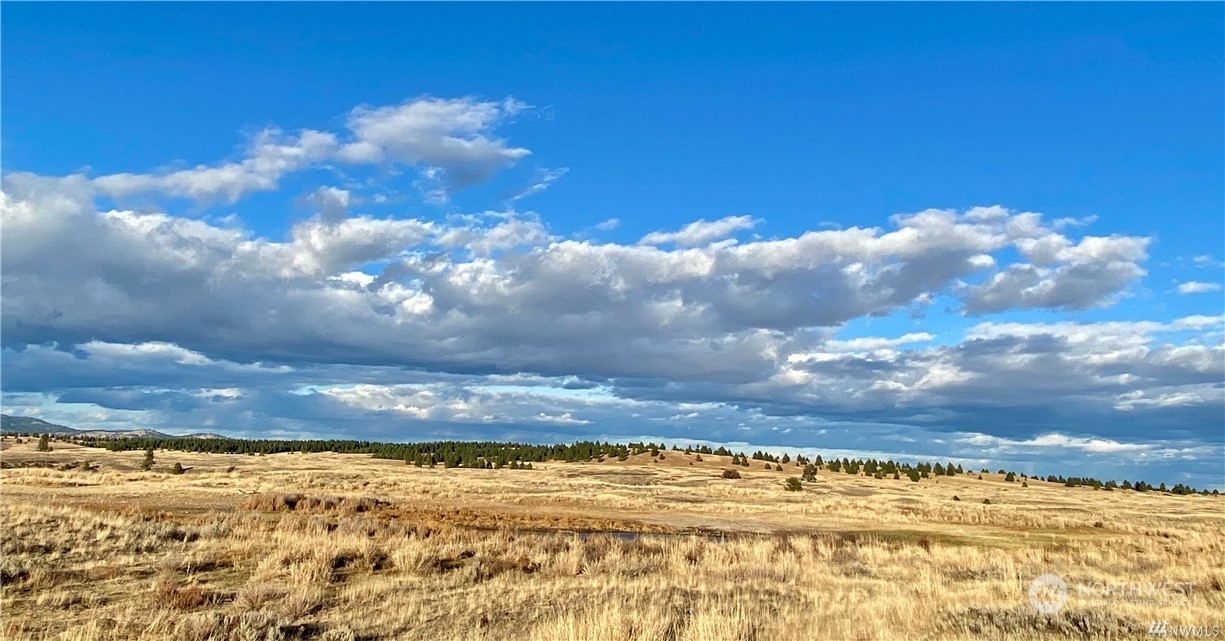 35000 McDowell Canyon Road Creston, WA 99117 - Photo 17 of 23 a view of ocean