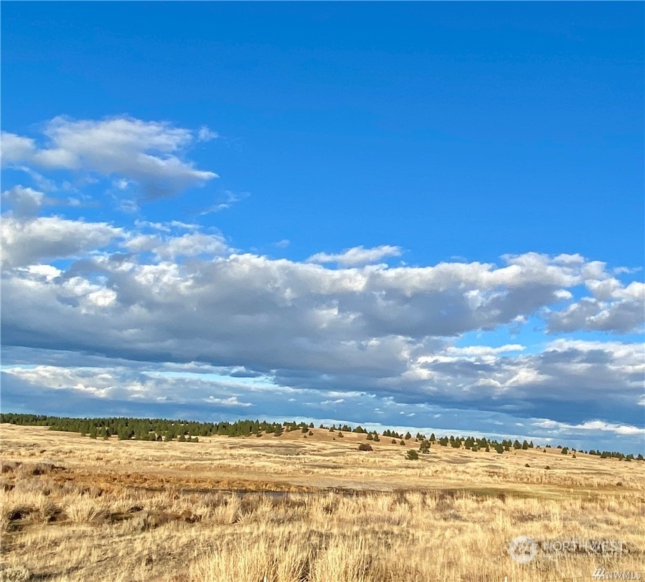 35000 McDowell Canyon Road Creston, WA 99117 - Photo 18 of 23 a view of ocean