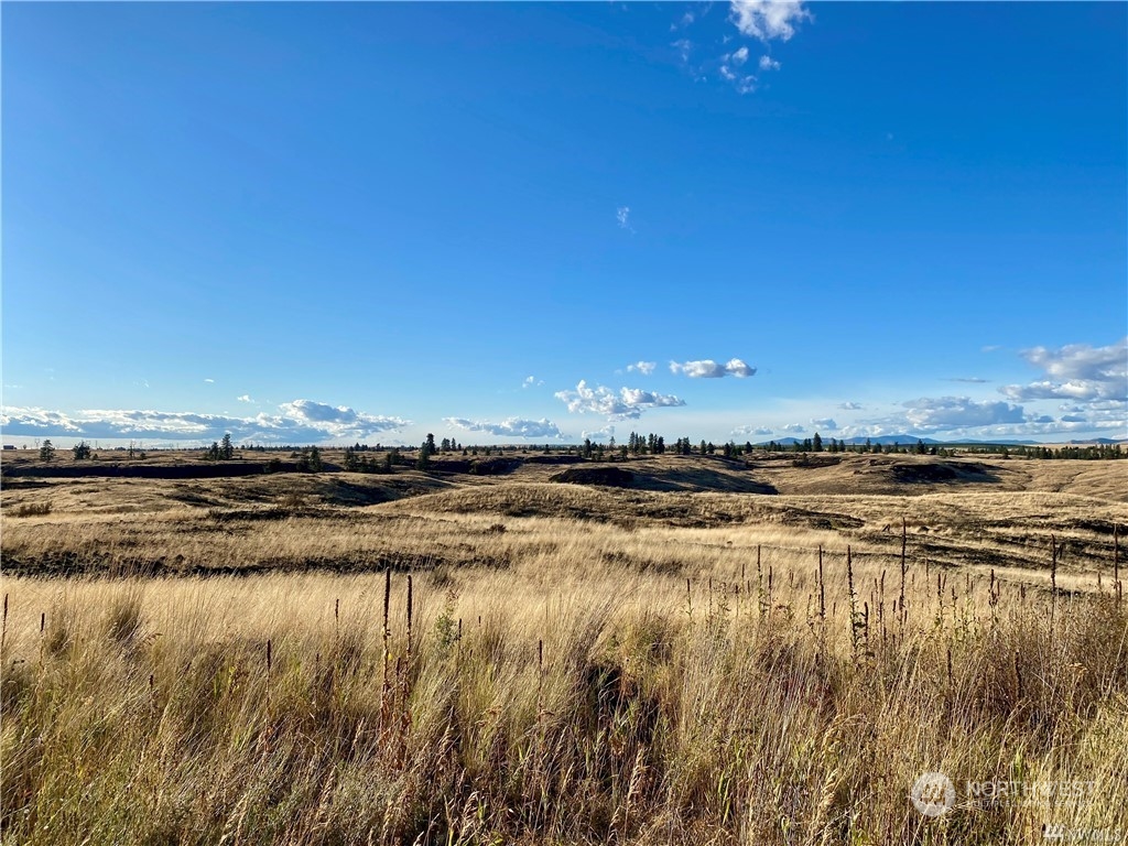 35000 McDowell Canyon Road Creston, WA 99117 - Photo 19 of 23 a view of an ocean