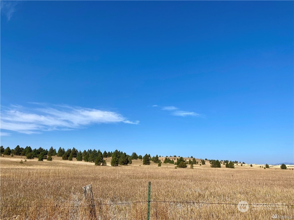 35000 McDowell Canyon Road Creston, WA 99117 - Photo 20 of 23 a view of lake and mountain