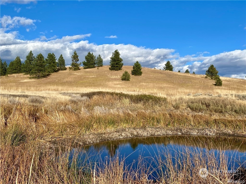 35000 McDowell Canyon Road Creston, WA 99117 - Photo 2 of 23 a view of an ocean and beach