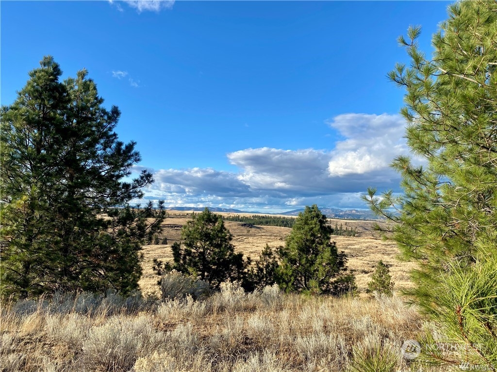 35000 McDowell Canyon Road Creston, WA 99117 - Photo 3 of 23