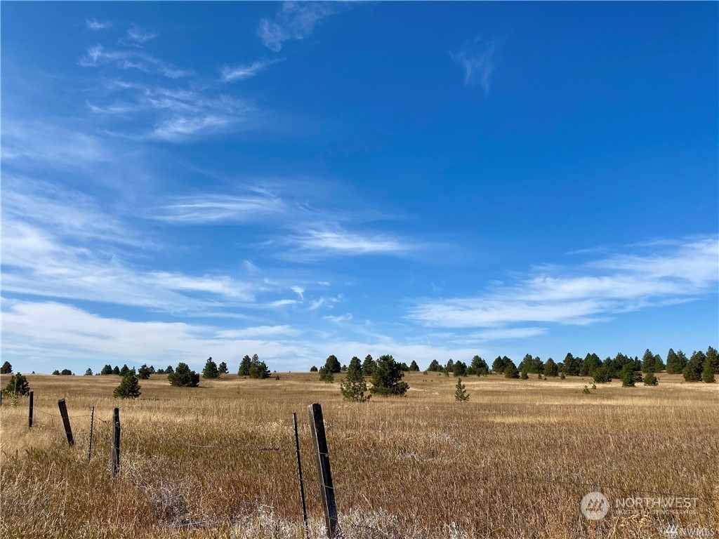 35000 McDowell Canyon Road Creston, WA 99117 - Photo 4 of 23 a view of city and ocean