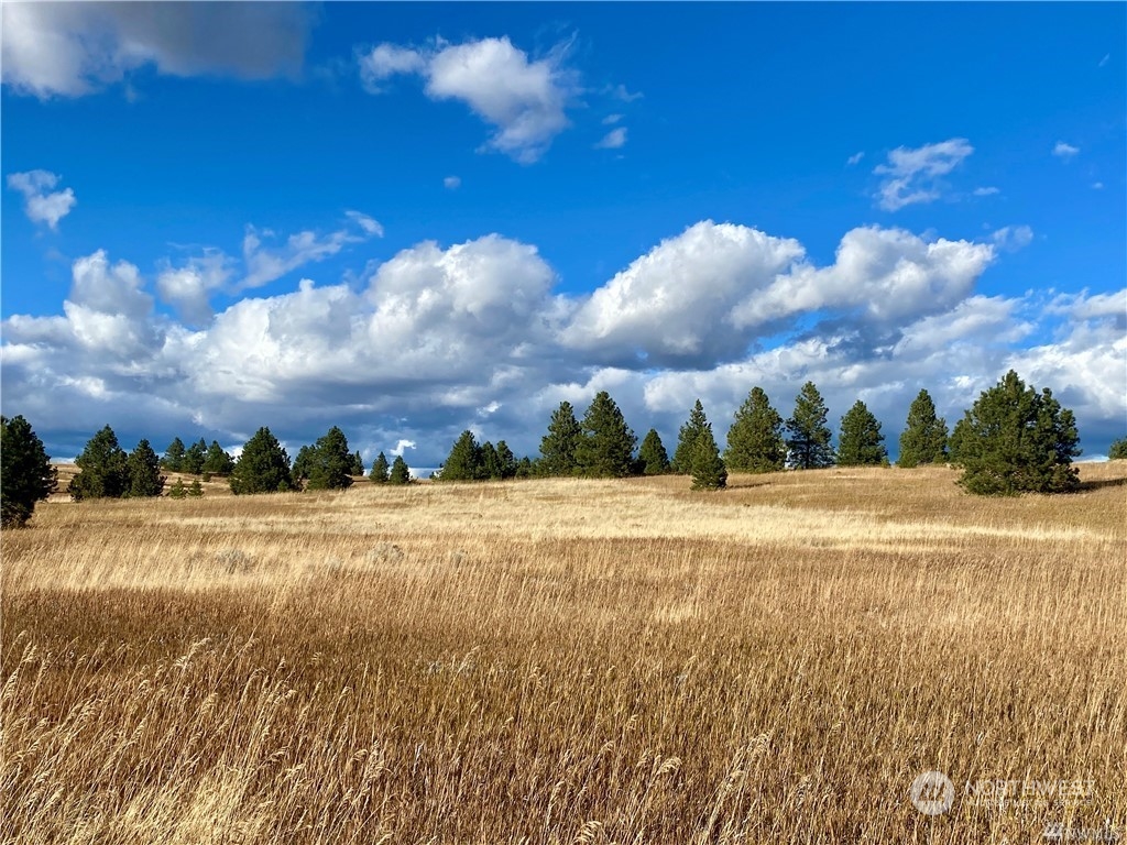 35000 McDowell Canyon Road Creston, WA 99117 - Photo 6 of 23 a view of an ocean and beach