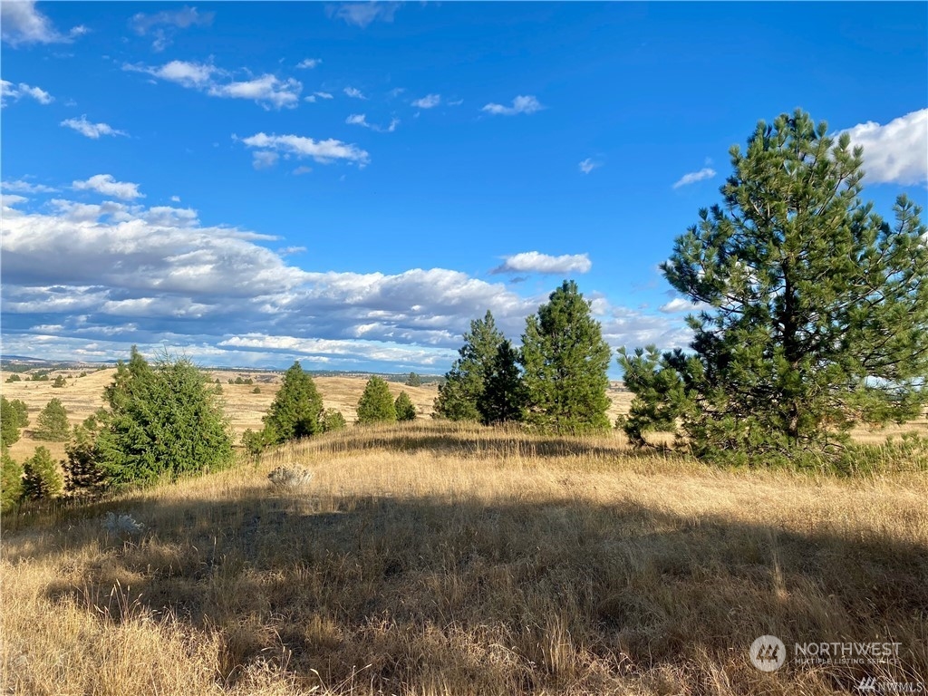 35000 McDowell Canyon Road Creston, WA 99117 - Photo 7 of 23 a view of a lake with a yard
