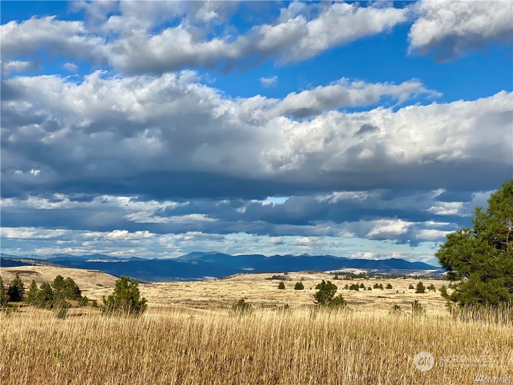 35000 McDowell Canyon Road Creston, WA 99117 - Photo 8 of 23