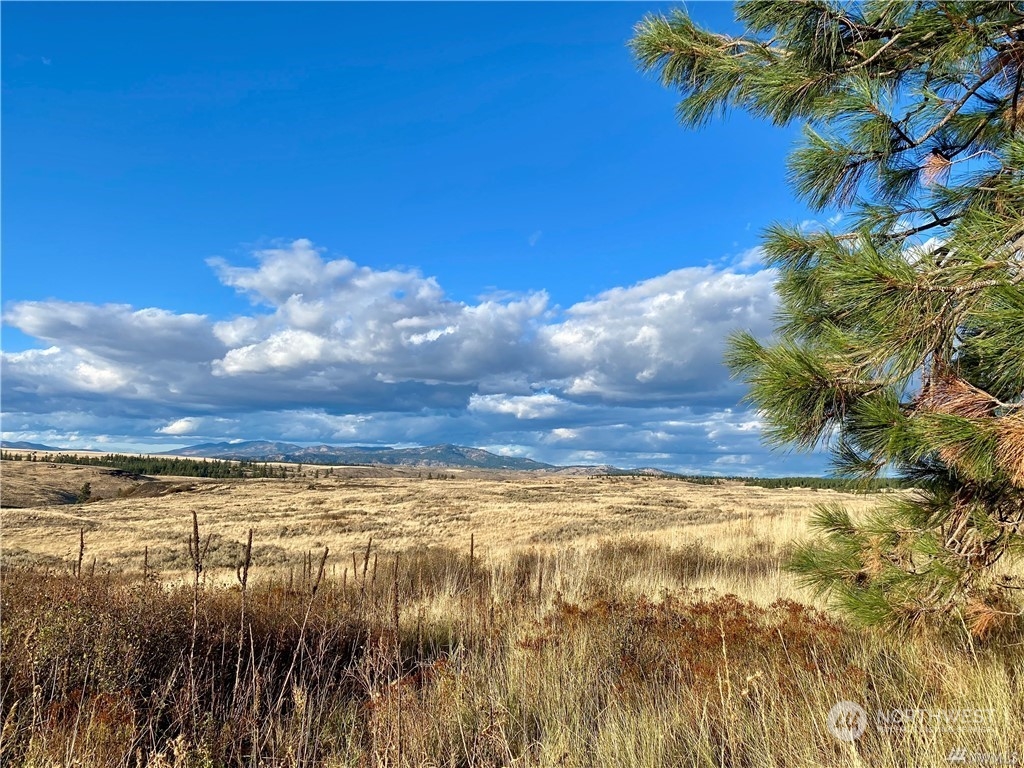 35000 McDowell Canyon Road Creston, WA 99117 - Photo 9 of 23 a view of an ocean and beach