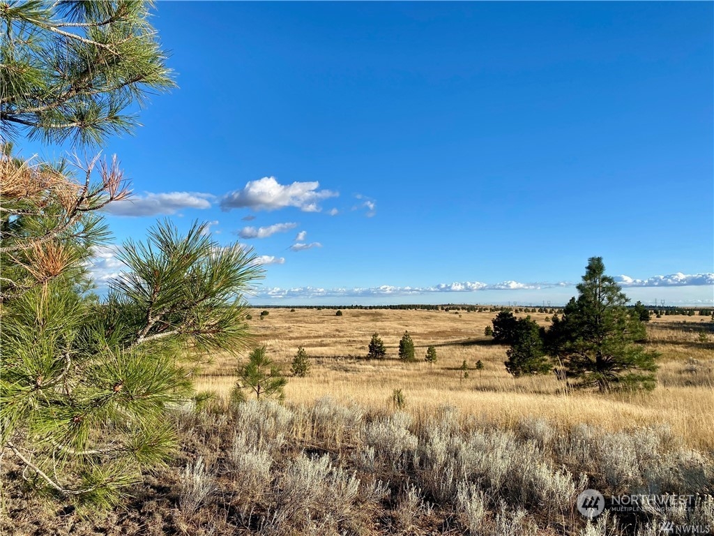 35000 McDowell Canyon Road Creston, WA 99117 - Photo 10 of 23 a view of an ocean and beach